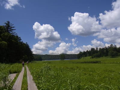 RIMG0041.jpg